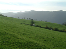 Above Bassenthwaite